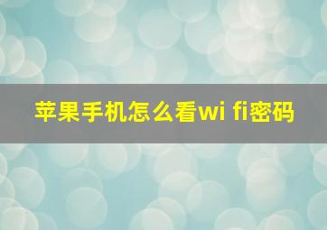 苹果手机怎么看wi fi密码